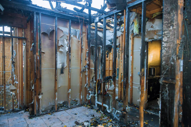 Professional Fire Damage Removal technician working in Cedar Hill, MO